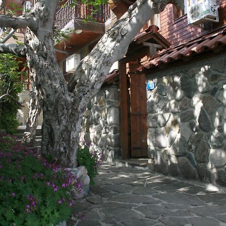 Guestrooms Durna Σωζόπολη Εξωτερικό φωτογραφία